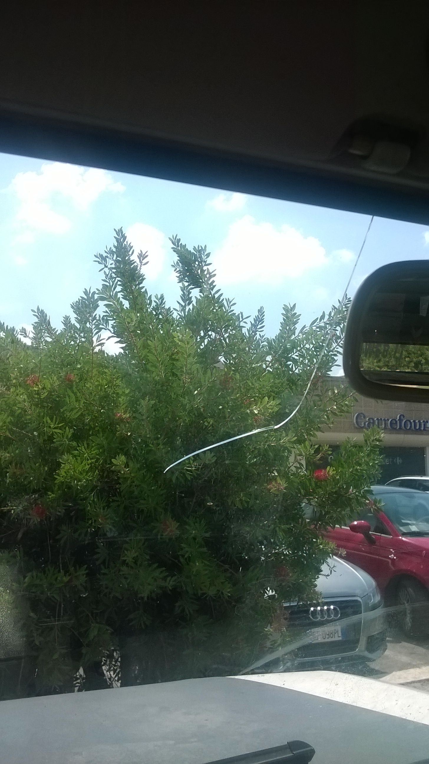 WP_20150815_001.jpg