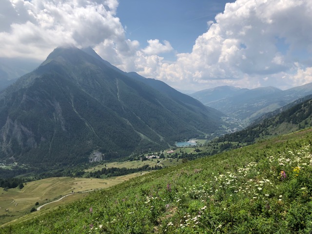IMG_0923.jpg