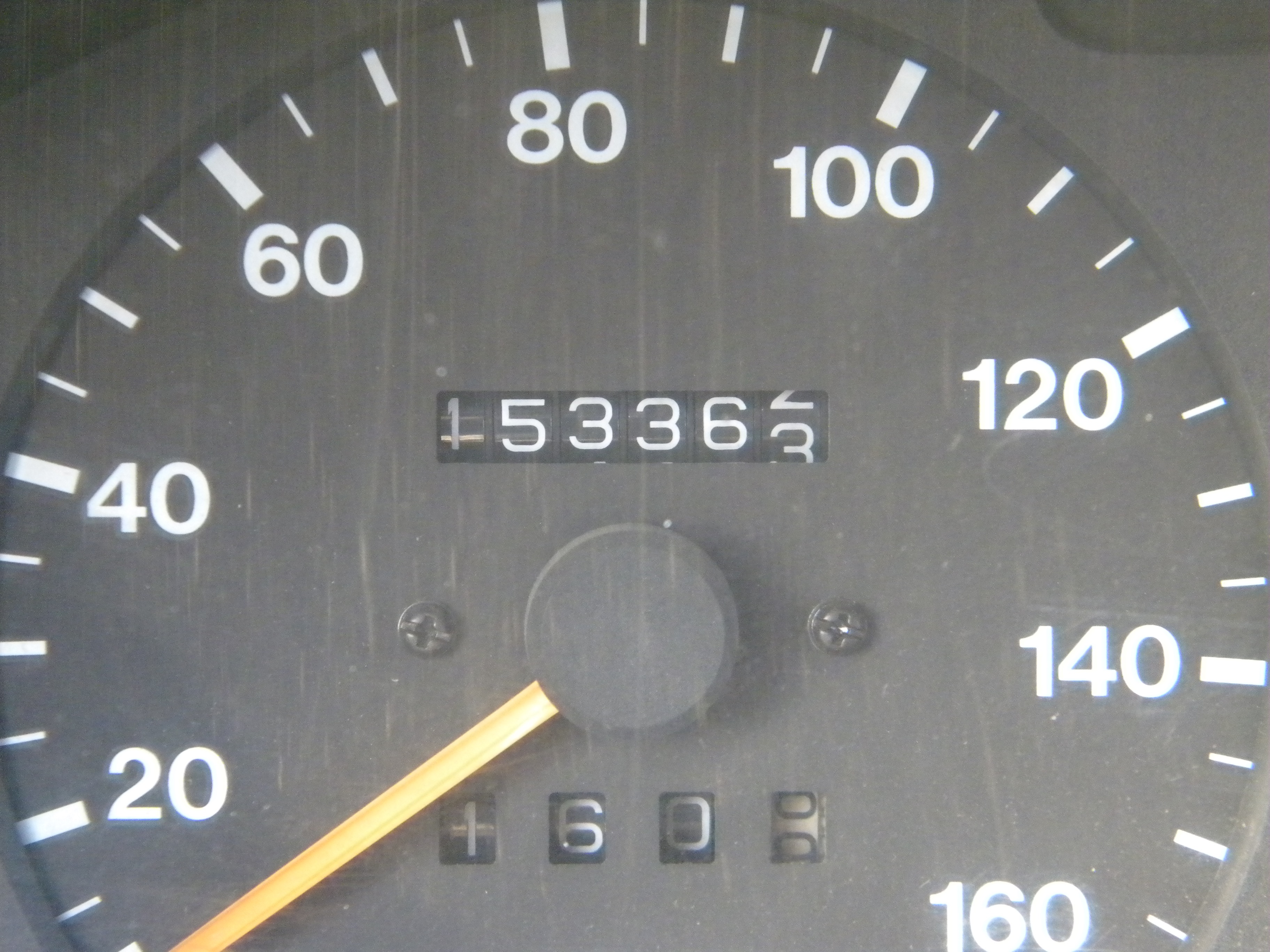 DSCN5970.jpg
